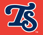 Tennessee Smokies 2003-2006 Cap Logo decal sticker