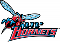 Delaware State Hornets 2004-Pres Misc Logo decal sticker