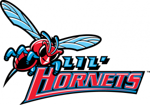 Delaware State Hornets 2004-Pres Misc Logo Sticker Heat Transfer