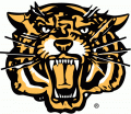 Hamilton Tiger-Cats 1999-2004 Secondary Logo decal sticker