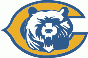 Chicago Bears 1993 Unused Logo Sticker Heat Transfer