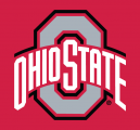 Ohio State Buckeyes 2013-Pres Alternate Logo 01 Sticker Heat Transfer