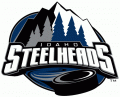 Idaho Steelheads 2006 07-2010 11 Primary Logo Sticker Heat Transfer