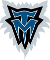 Minnesota Timberwolves 1996-2007 Alternate Logo Sticker Heat Transfer