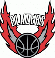 Portland Trail Blazers 2002-2003 Alternate Logo Sticker Heat Transfer
