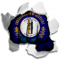 Fist Kentucky State Flag Logo decal sticker