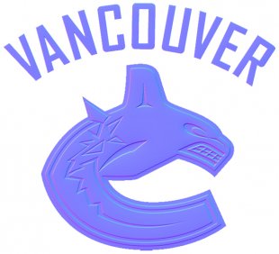 Vancouver Canucks Colorful Embossed Logo decal sticker