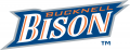 Bucknell Bison 2002-Pres Wordmark Logo decal sticker
