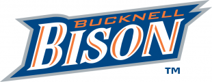 Bucknell Bison 2002-Pres Wordmark Logo Sticker Heat Transfer