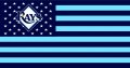 Tampa Bay Rays Flag001 logo decal sticker