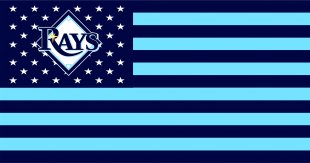 Tampa Bay Rays Flag001 logo Sticker Heat Transfer