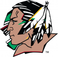 North Dakota Fighting Hawks 2007-2011 Primary Logo Sticker Heat Transfer