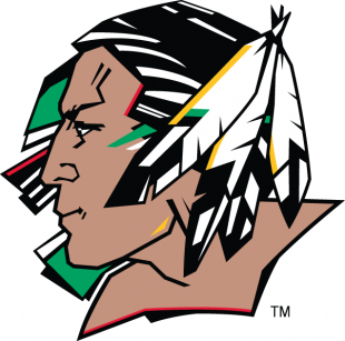 North Dakota Fighting Hawks 2007-2011 Primary Logo decal sticker