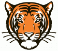 Princeton Tigers 2003-Pres Alternate Logo 01 decal sticker