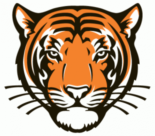 Princeton Tigers 2003-Pres Alternate Logo 01 decal sticker