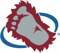 Colorado Avalanche 1995 96-1998 99 Secondary Logo Sticker Heat Transfer