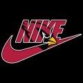 Arizona Cardinals Nike logo Sticker Heat Transfer