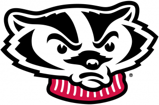 Wisconsin Badgers 2002-Pres Secondary Logo 02 Sticker Heat Transfer