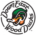 Down East Wood Ducks 2017-Pres Primary Logo decal sticker