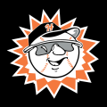 Hagerstown Suns 1993-2012 Cap Logo Sticker Heat Transfer