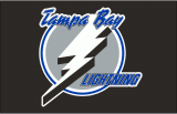 Tampa Bay Lightning 1992 93-2000 01 Jersey Logo Sticker Heat Transfer
