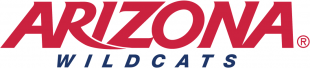 Arizona Wildcats 2003-Pres Wordmark Logo decal sticker