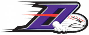 Winston-Salem Dash 2009-Pres Cap Logo 2 decal sticker