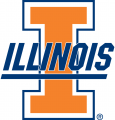 Illinois Fighting Illini 1989-2013 Alternate Logo 01 Sticker Heat Transfer