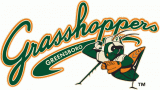Greensboro Grasshoppers 2005-Pres Primary Logo decal sticker
