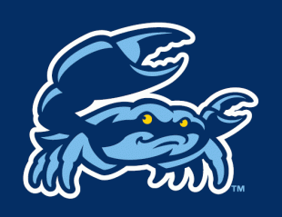 Charlotte StoneCrabs 2009-Pres Secondary Logo decal sticker