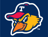 Toledo Mud Hens 2006-Pres Cap Logo decal sticker