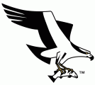 Missoula Osprey 1999-Pres Alternate Logo decal sticker