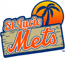 St. Lucie Mets 2013-Pres Primary Logo decal sticker