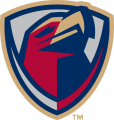 Lancaster Jethawks 2008-Pres Secondary Logo decal sticker