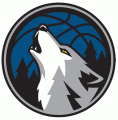 Minnesota Timberwolves 2008-2016 Alternate Logo decal sticker