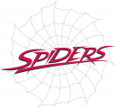 Richmond Spiders 2002-Pres Wordmark Logo 03 Sticker Heat Transfer