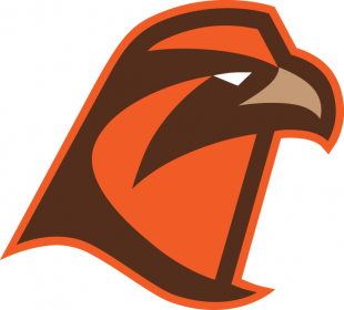 Bowling Green Falcons 2006-Pres Secondary Logo 03 decal sticker