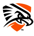 UTPB Falcons 2016-Pres Secondary Logo 01 Sticker Heat Transfer