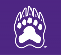 Central Arkansas Bears 2009-Pres Alternate Logo 13 decal sticker