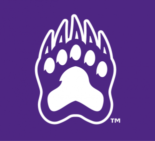 Central Arkansas Bears 2009-Pres Alternate Logo 13 Sticker Heat Transfer