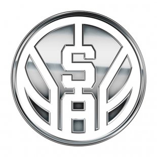 San Antonio Spurs Silver Logo Sticker Heat Transfer