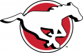 Calgary Stampeders 2016-2018 Primary Logo Sticker Heat Transfer