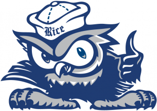 Rice Owls 2010-2016 Mascot Logo Sticker Heat Transfer