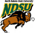 North Dakota State Bison 2005-2011 Primary Logo decal sticker