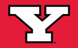 Youngstown State Penguins 1993-Pres Alternate Logo Sticker Heat Transfer