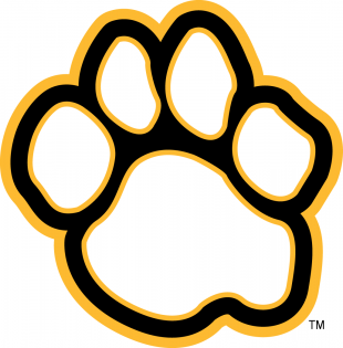 UMBC Retrievers 2010-Pres Alternate Logo 02 decal sticker