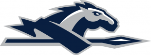 Longwood Lancers 2014-Pres Alternate Logo 01 decal sticker