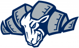 North Carolina Tar Heels 1999-2014 Alternate Logo 05 decal sticker