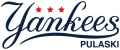 Pulaski Yankees 2015-Pres Primary Logo decal sticker