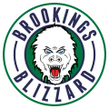 Brookings Blizzard 2016 17-Pres Primary Logo Sticker Heat Transfer